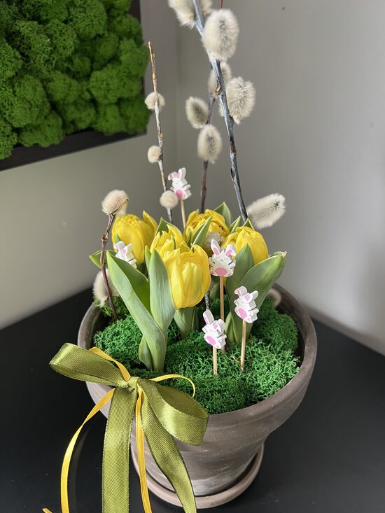 Individuāli pasūtījumi/pavasaris