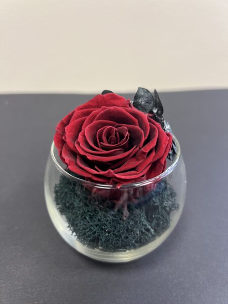 Stabilizēta roze stikla traukā MINI
